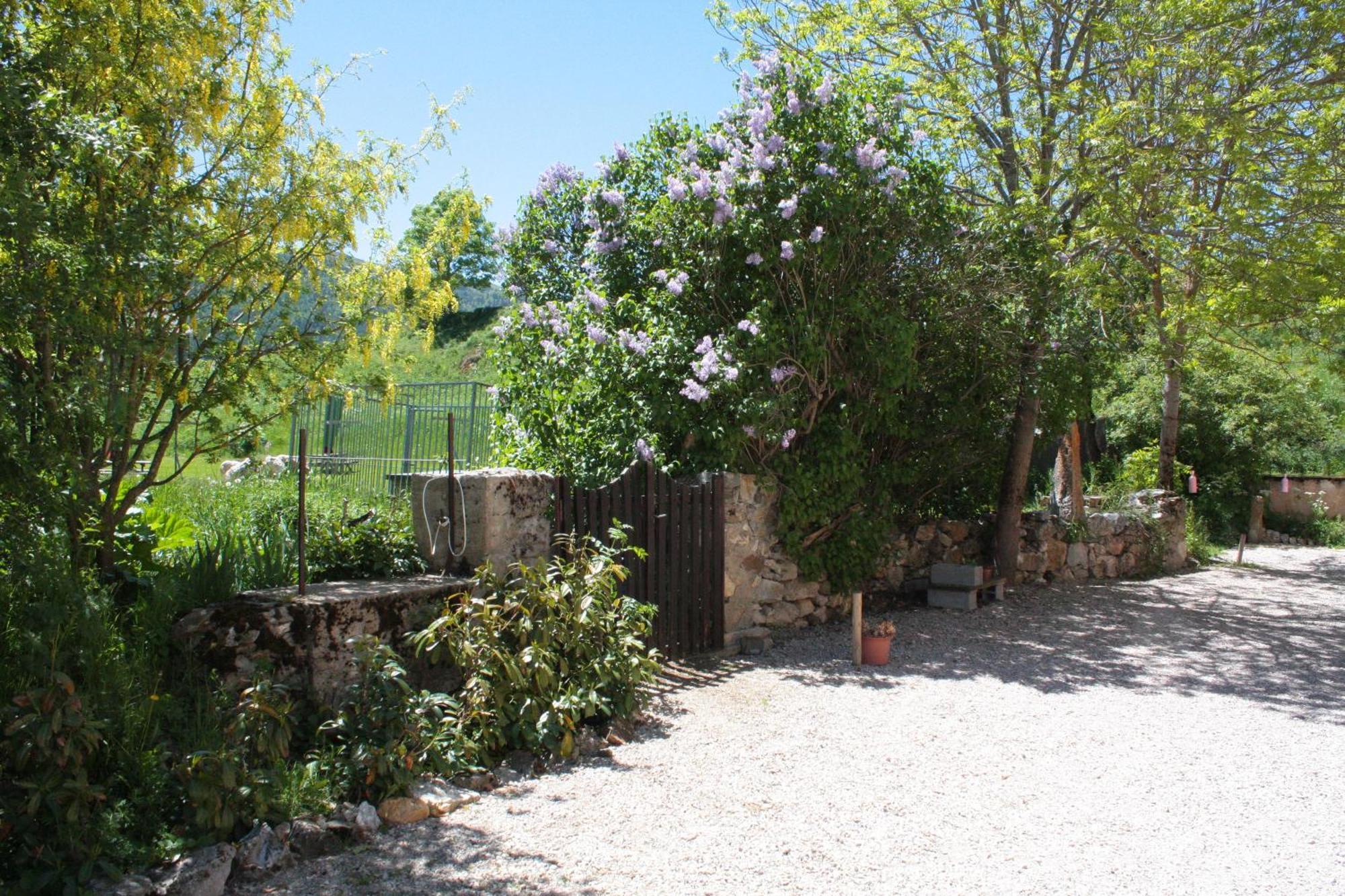 Chateau De Camurac 외부 사진